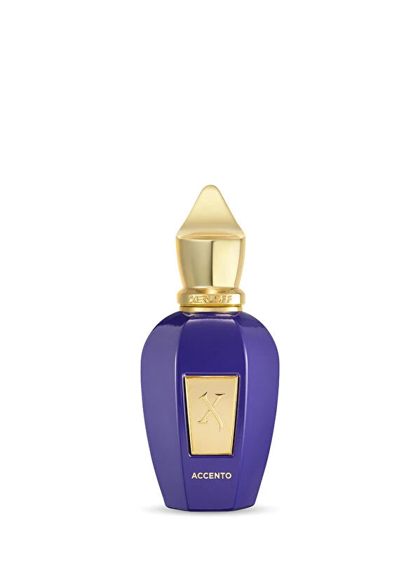 Xerjoff Accento Edp 100ml Unisex Parfüm
